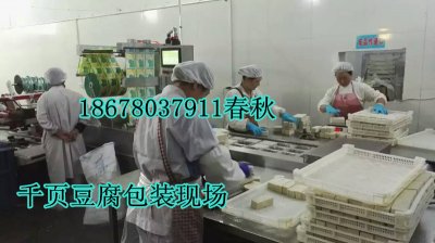 春秋千页豆腐设备使用现场